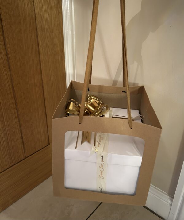 Gift Bag - 25cms x 25cms (For Explosion Box) Cardboard Brown